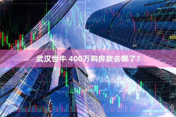 武汉世牛 400万购房款去哪了？